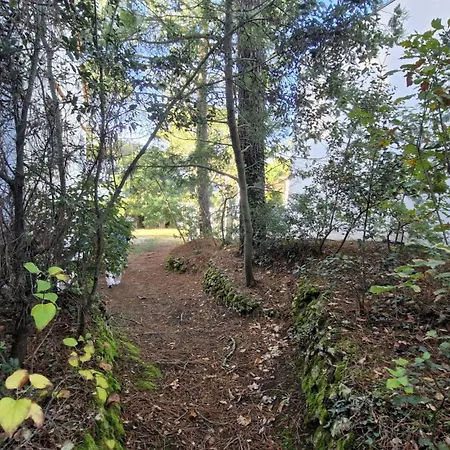 Georges De Didonne - Maison Parfaite Pour Les : Jardin, Terrasse... * Saint-Georges-de-Didonne