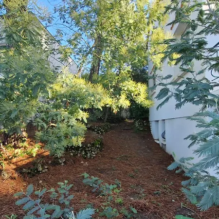 Georges De Didonne - Maison Parfaite Pour Les : Jardin, Terrasse... Villa Saint-Georges-de-Didonne