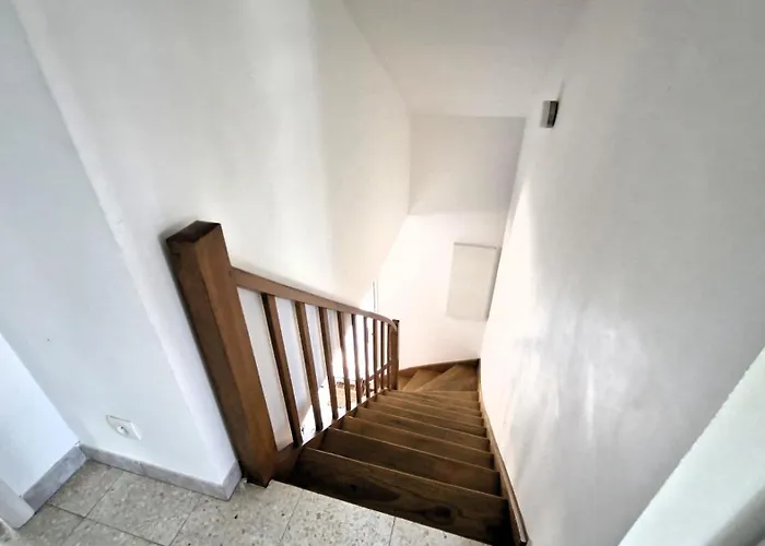 Georges De Didonne - Maison Parfaite Pour Les : Jardin, Terrasse... Villa *