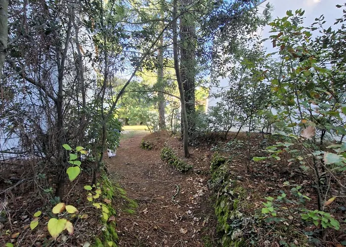 Georges De Didonne - Maison Parfaite Pour Les : Jardin, Terrasse... * Saint-Georges-de-Didonne