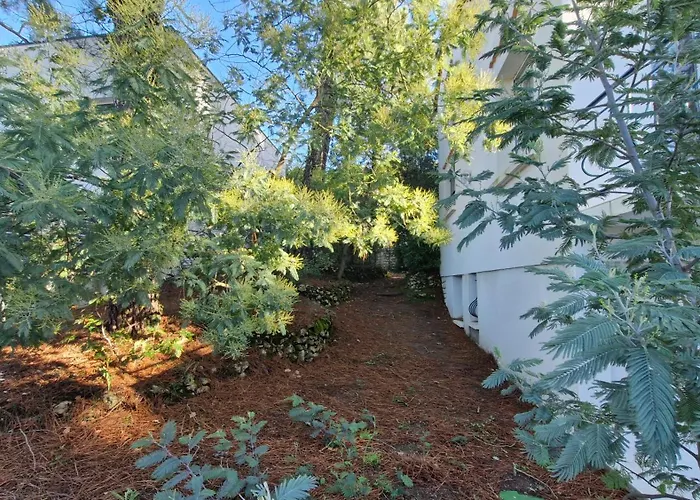 Georges De Didonne - Maison Parfaite Pour Les : Jardin, Terrasse... Villa Saint-Georges-de-Didonne